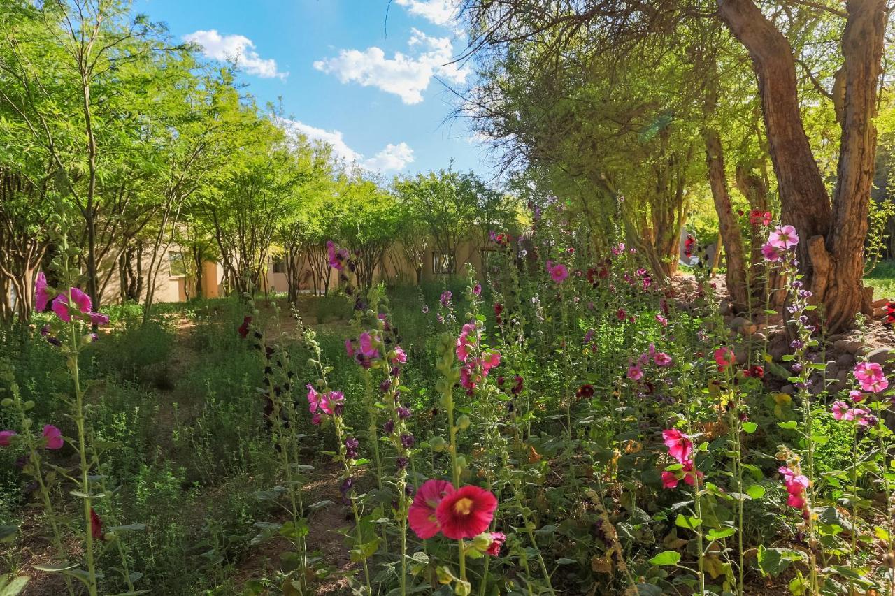 Casa Solcor Boutique Bed & Breakfast San Pedro de Atacama Eksteriør billede